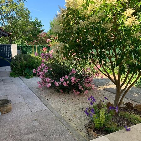 Petite Maison Pres Du Centre LʼIsle-sur-la-Sorgue Eksteriør billede